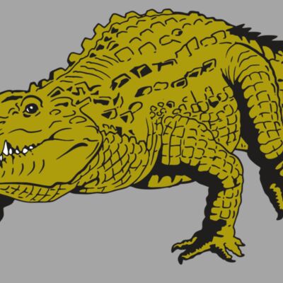 AR GATOR 13 RQC Thumbnail
