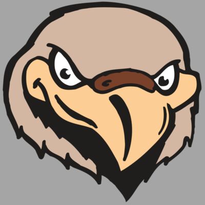 AR FALCON 33 RC Thumbnail