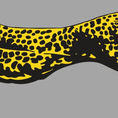 AR CHEETAH 12 RC Thumbnail