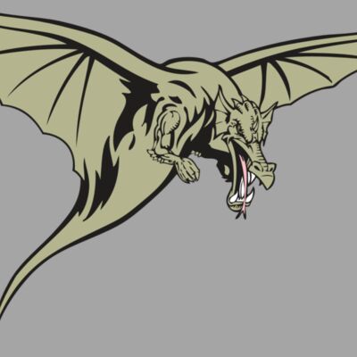 BAW DRAGON 12 RC Thumbnail