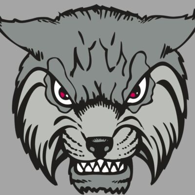 BAW BOBCAT 02 RC Thumbnail
