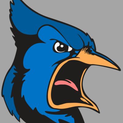 BAW BLUEJAY 03 RC Thumbnail