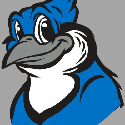 AR31 BLUEJAY 02 RQC Thumbnail