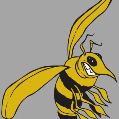 AR5 BEE 13 RQC Thumbnail