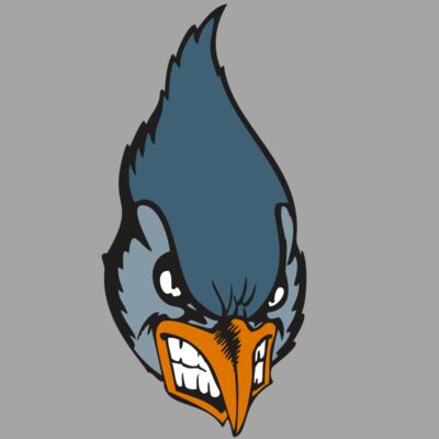 BAW BLUEJAY 01 RC Thumbnail