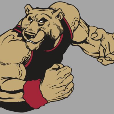 AR BEAR 40 RC Thumbnail