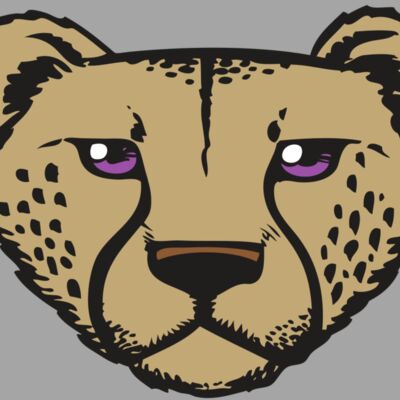 BAW CHEETAH 14 RC Thumbnail