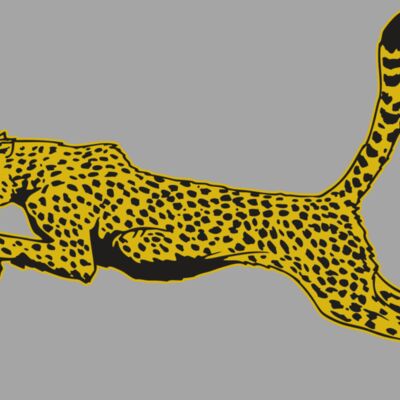 AR CHEETAH 10 RC Thumbnail