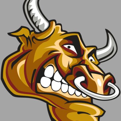 BULL HD0503 RQC Thumbnail