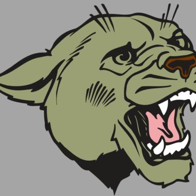 AR COUGAR 40 RC Thumbnail