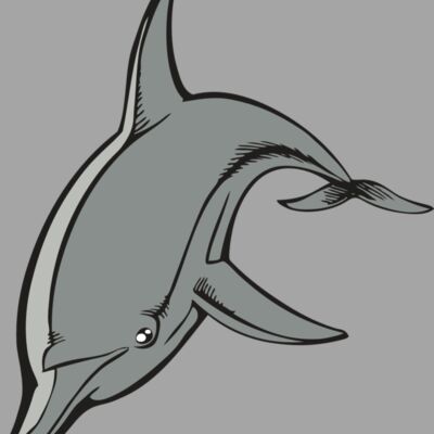BAW DOLPHIN 03 RC Thumbnail