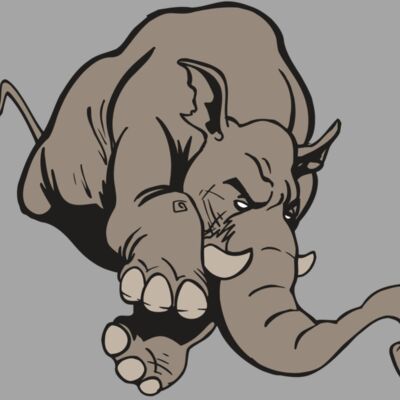 AR5 Elephant 17 RQC Thumbnail
