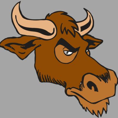 AR5 Bull 06 RQC Thumbnail