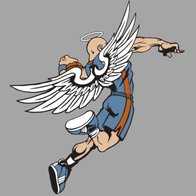 AR17 ANGEL BSKT 02 RQC Thumbnail
