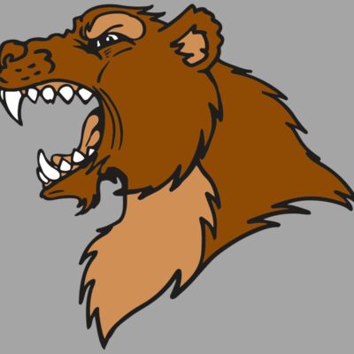 AR BEAR 22 RC Thumbnail
