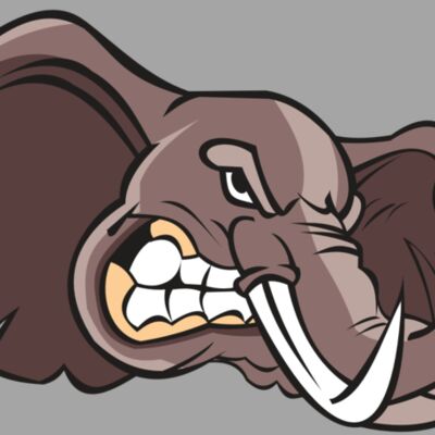 ELEPHANT HD0501 RQC Thumbnail