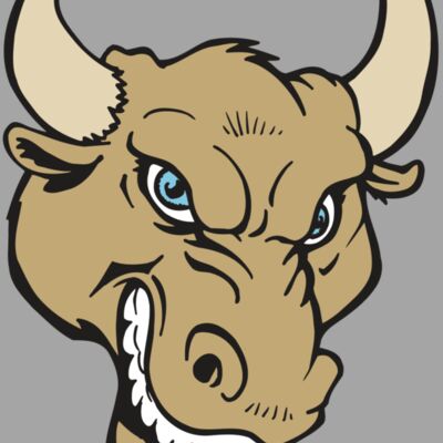 AR5 BULL 13 RQC Thumbnail