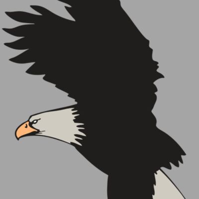 AR EAGLE 91 RC Thumbnail