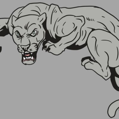 AR10 PANTHER 02 RQC Thumbnail