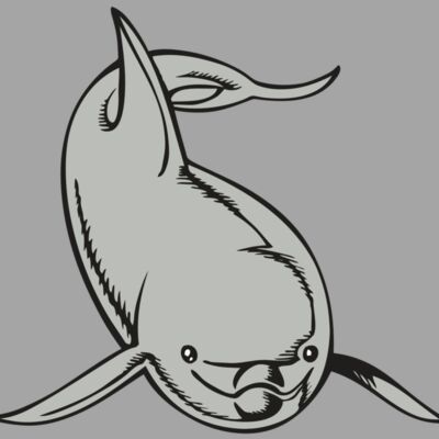 BAW DOLPHIN 02 RC Thumbnail