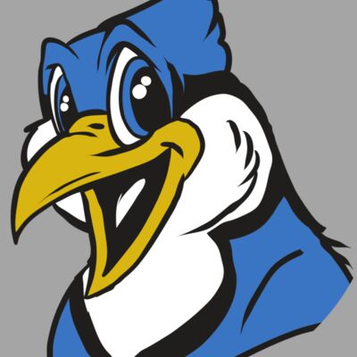 AR31 BLUEJAY 01 RQC Thumbnail