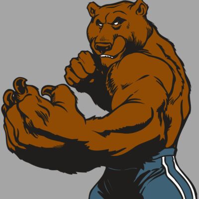 AR BEAR 31 RC Thumbnail
