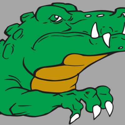 AR GATOR 22 RQC Thumbnail
