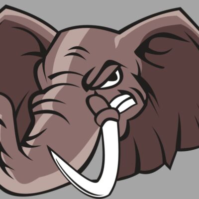 ELEPHANT HD0504 RQC Thumbnail