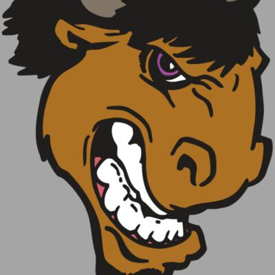 AR BUFFALO 13 RC Thumbnail