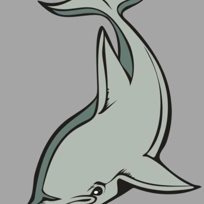 BAW DOLPHIN 01 RC Thumbnail