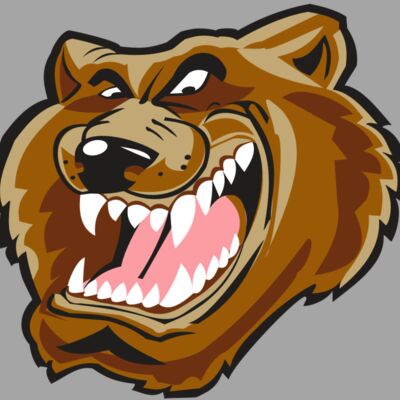 BEAR HD0503 RQC Thumbnail