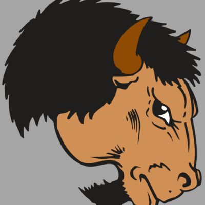 AR BUFFALO 16 RC Thumbnail