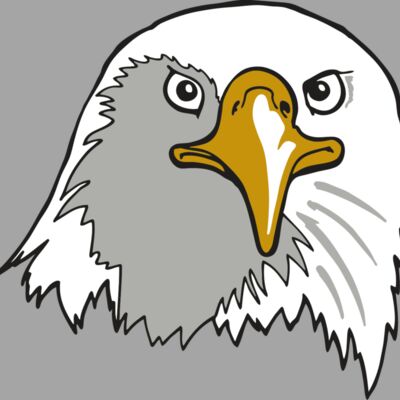 AR EAGLE 39 RC Thumbnail