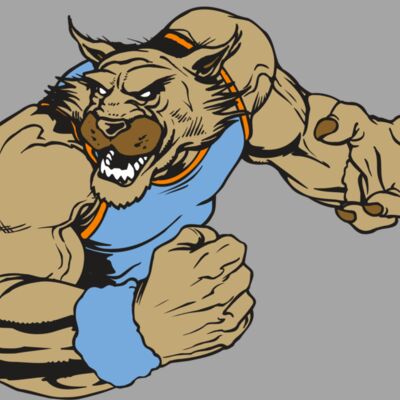AR WILDCAT 46 RC Thumbnail