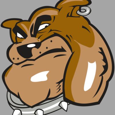 BULLDOG HD0501 RQC Thumbnail
