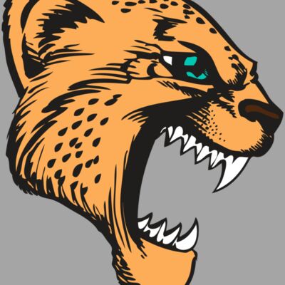 BAW CHEETAH 11 RC Thumbnail