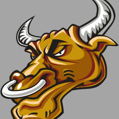 BULL HD0502 RQC Thumbnail