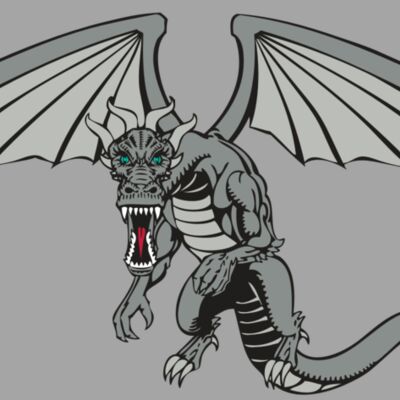 BAW DRAGON 04 RC Thumbnail