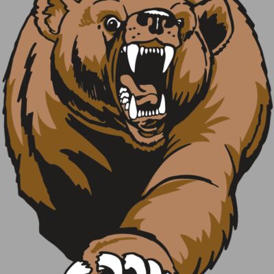 AR BEAR 74 RC Thumbnail