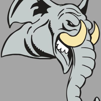 AR5 Elephant 12 RQC Thumbnail