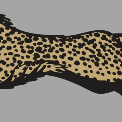 BAW CHEETAH 01 RC Thumbnail