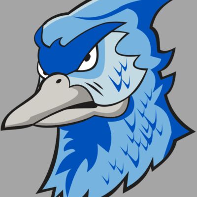 BLUEJAY HD0501 RQC Thumbnail