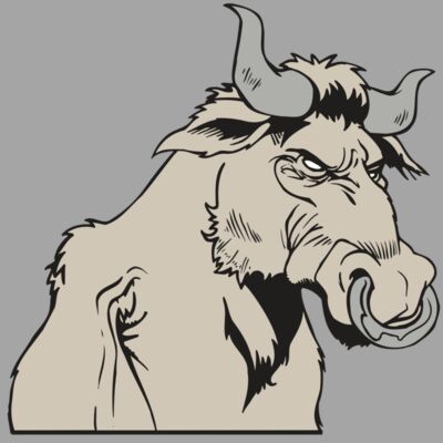 AR5 BULL 08 RQC Thumbnail