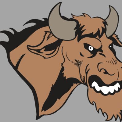 AR5 BULL 09 RQC Thumbnail