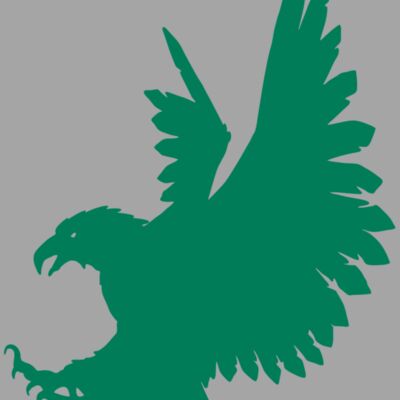 AR EAGLE 88 RC Thumbnail
