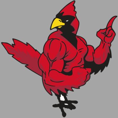 AR CARDINAL 27 RC Thumbnail