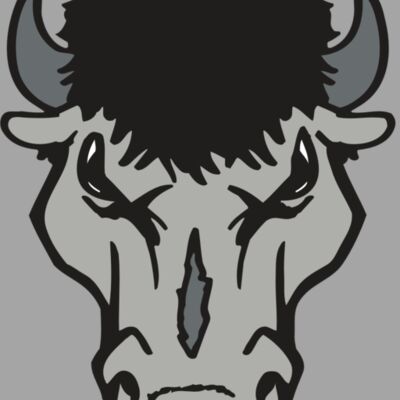 AR BUFFALO 15 RC Thumbnail