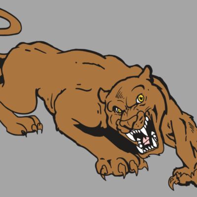 AR5 COUGAR 41 RQC Thumbnail