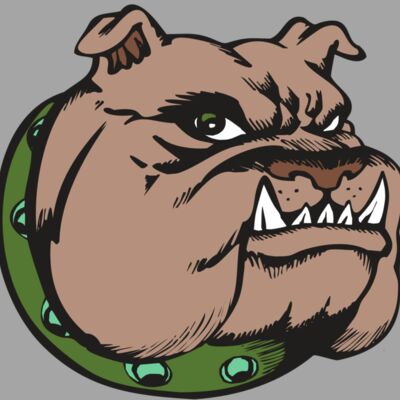 BAW BULLDOG 14 RC Thumbnail