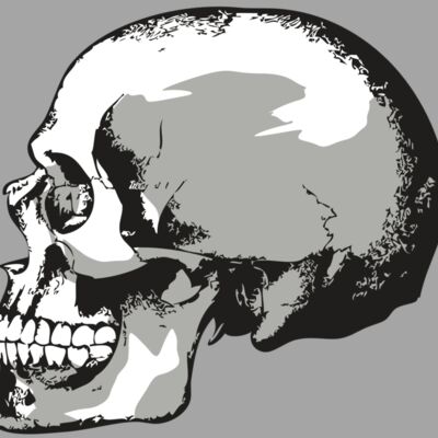 AR24 SKULL 02 RQC Thumbnail